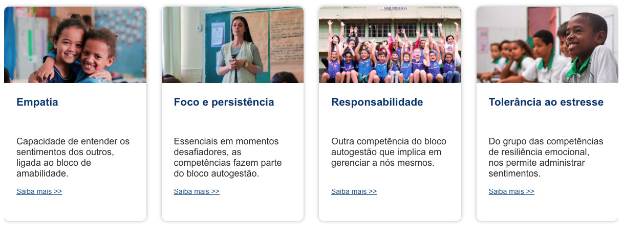 Instituto Ayrton Senna Instituto Ayrton Senna