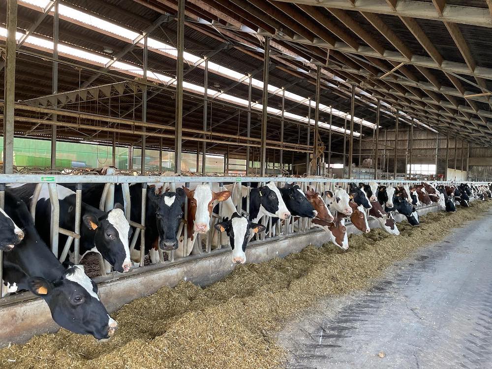 Milcobel – Cooperativas pela Agenda 2030
