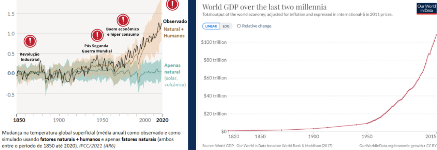 A economia regenerativa e a janela de oportunidade para o Brasil