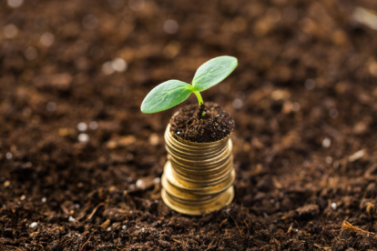 Governo federal lança programa para impulsionar investimentos verdes