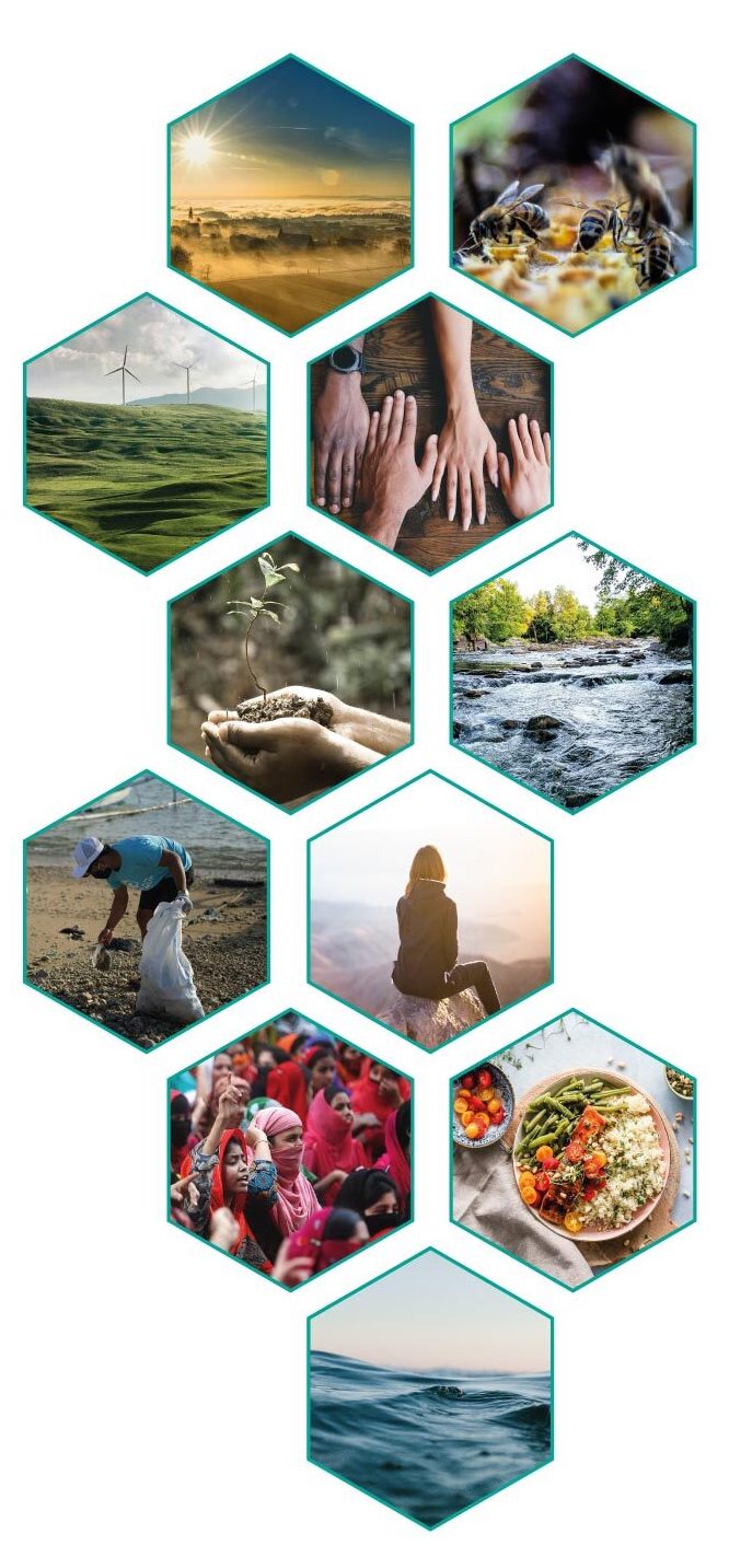 Earth Action Report – 11 prioridades para mudanças sistêmicas