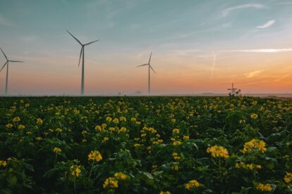 World Energy Outlook 2024