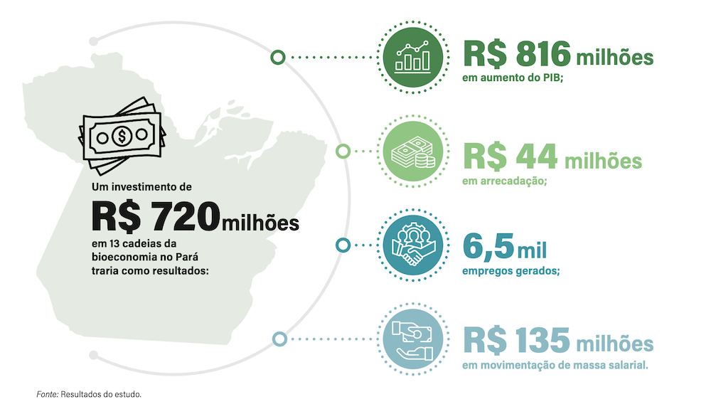 Potencial da bioeconomia no Pará