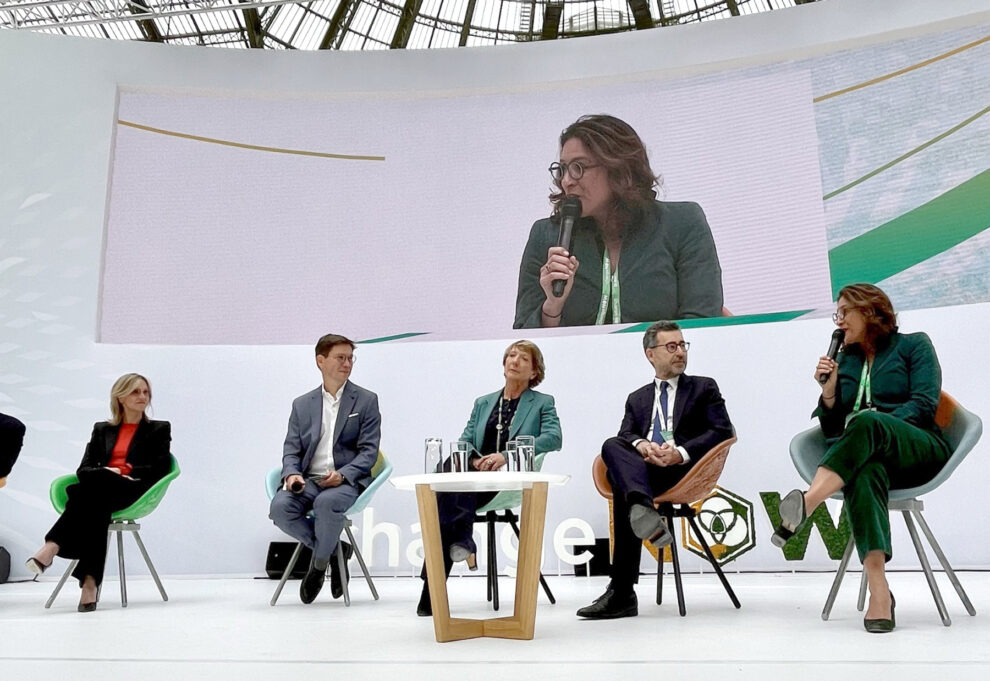 França impõe padrões rígidos para uso de créditos de carbono