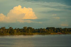 Riscos já mapeados: de microalgas neurotóxicas a barragens na Amazônia